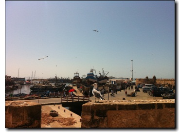 Essaouira - Le port Essaouira - Le port