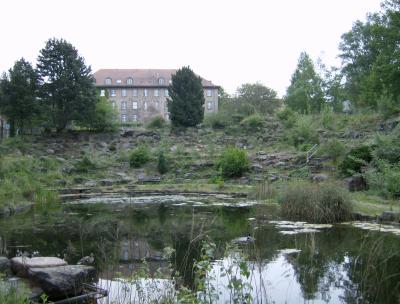 Jardin des amoureux :)
