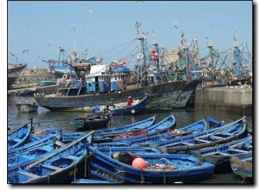 Essaouira - Le port - Barques